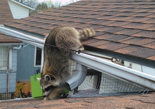 How to Tell if a Wildlife Removal Service Technician Has Removed an Animal from Your Property